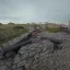 [Frontlines] Regicide 1