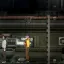 AnimEuropa 2 4