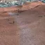 Heightmap Fix (RE_Kenshi) 3