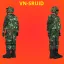Modern Vietnamese Army 1