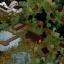 WILDSTEEL - FORT SPIFFO 9