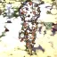 Ultra Deluxe Snowball Overhaul 4