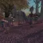 Shrieking Bandits Expanded 2