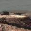 Terrain Fog Overhaul (RE_Kenshi) 7