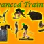 Advanced training dummies 3