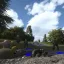 RAVENFIELD: TOTAL CONFLICT 9