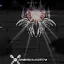 WhiteNight Dogma 6