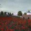 [Frontlines] Regicide 5