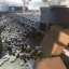 Gazel business pack 3